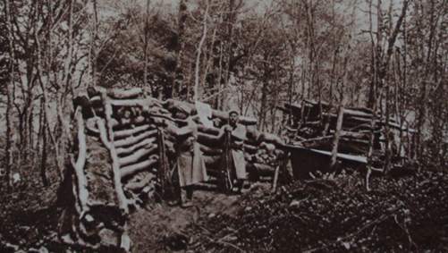 Artillery in the Bois de la Grurie in 1915