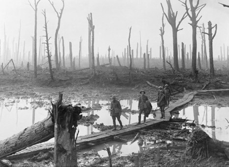 Australian troops walk along a duckboard track through the remains of Chateau Wood, Third Battle of Ypres (Passchendaele), 29 October 1917.