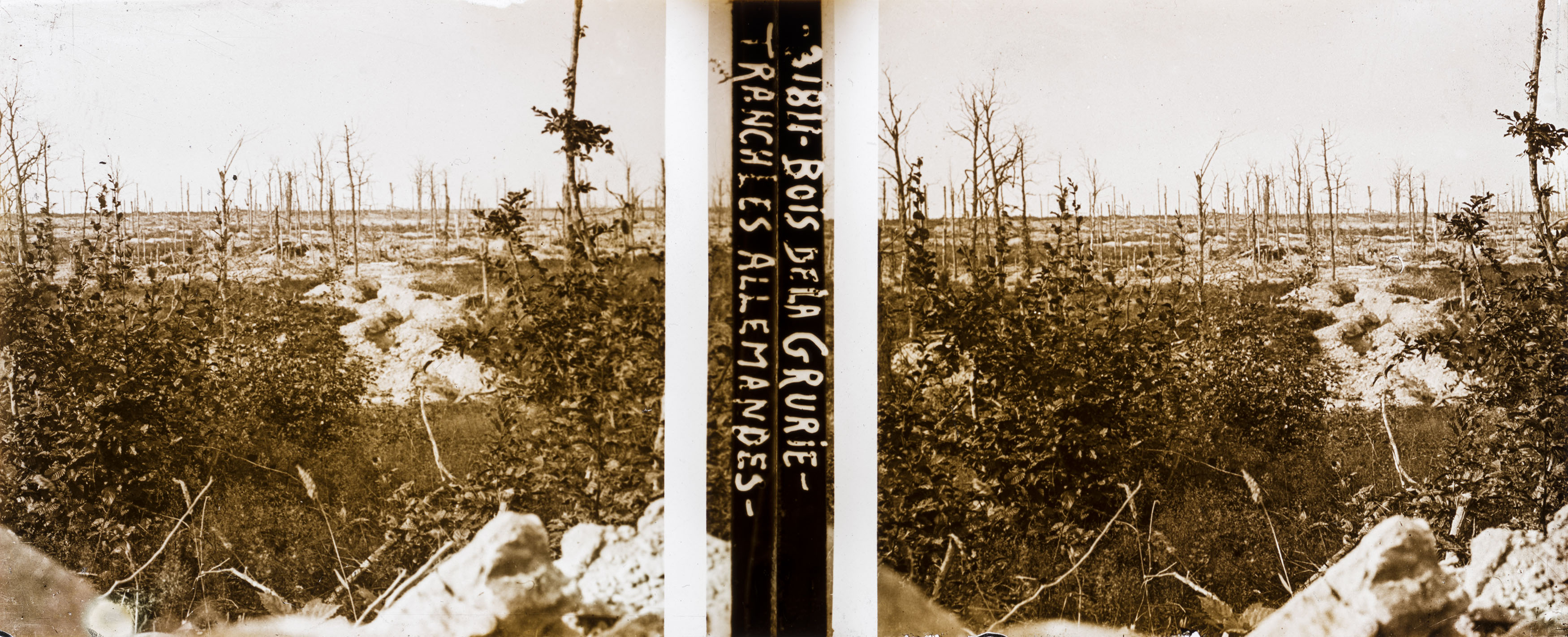 Bois de la Grurie, tranchées allemandes - German trenches at the Bois de la Grurie