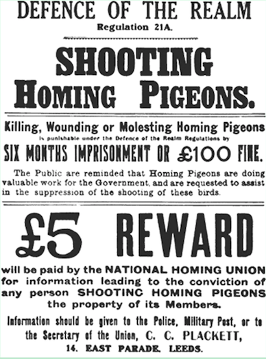 British WWI poster regarding the killing of war pigeons being an offence under Regulation 21A of the Defence of the Realm Act