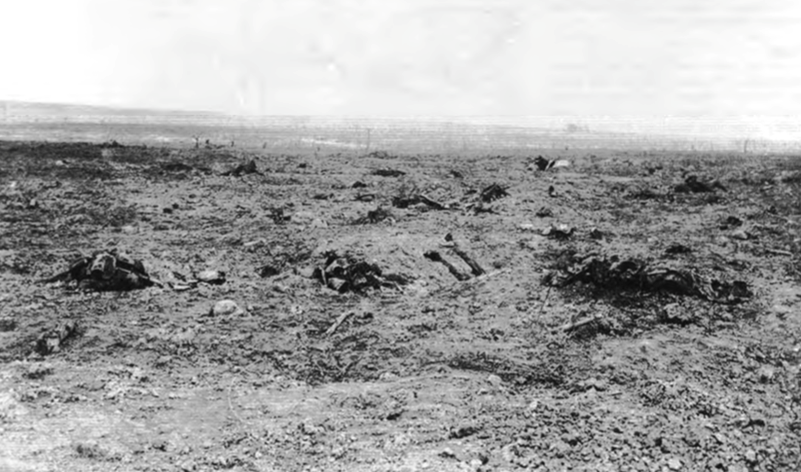 The desert-like battlefield of Guillemont after its capture on 3 September 1916. Courtesy IWM Q1167