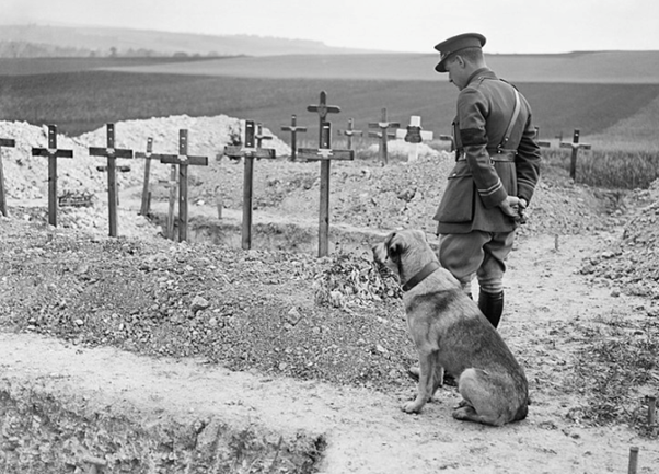 British officer and his dog at the Wavans War Cemetery July 1918. IWM Q9042