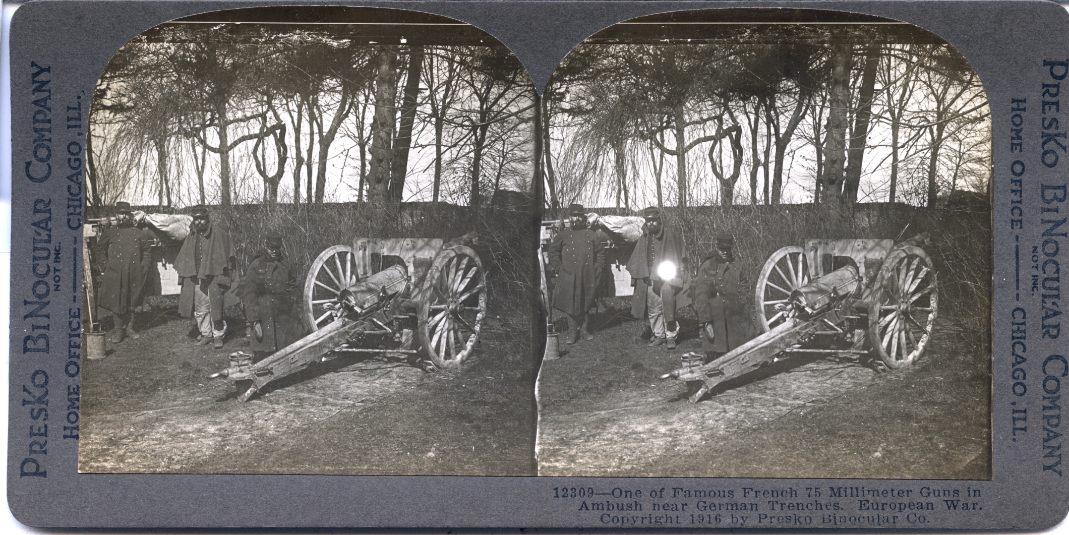 One of Famous French 75 Millimeter Guns in Ambush near German Trenches. European War