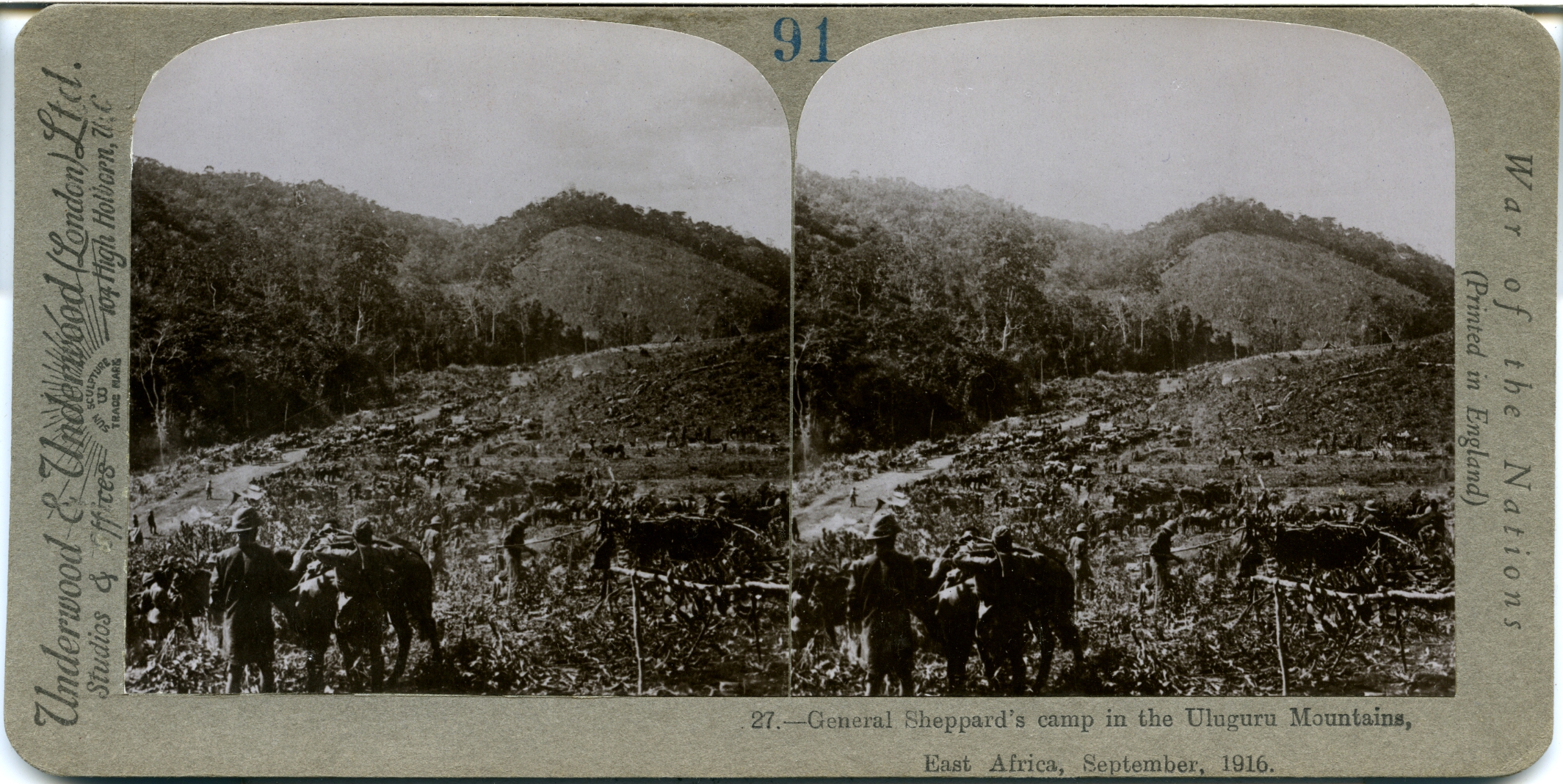 General Sheppard's camp in the Uluguru Mountains, East Africa, September, 1916