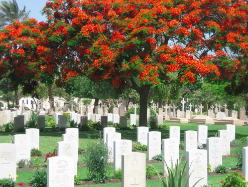 Cairo War Memorial Cemetery (c) CWGC 2021