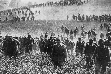 Review of 'Not just trenches: some battles of 1914 we forgot to remember' by Tim Lynch (January 2022)