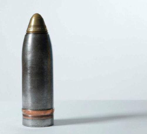 8 Inch Shell from the Galway National Shell Factory. Photograph by Marta Barcikowska (2022)