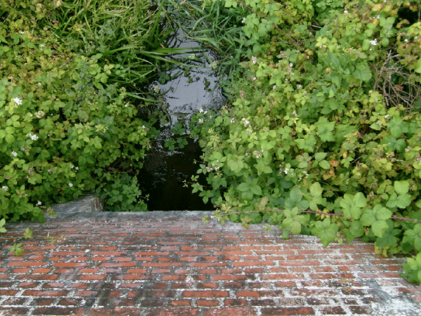 Looking down over the concrete fence