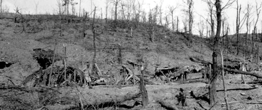 BATTLE OF NONNE BORSSCHEN 11TH NOVEMBER 1914 - Verne Littley