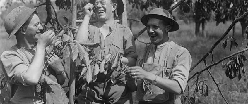 'Effin' and Blindin' on the Western Front' by Prof Mark Connelly