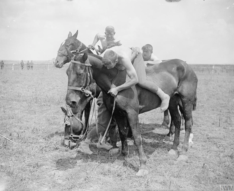 Horse show organised by the XIII British Corps at Ecoivres, 20 June 1917. Wrestling on horseback. IWM Q 5519
