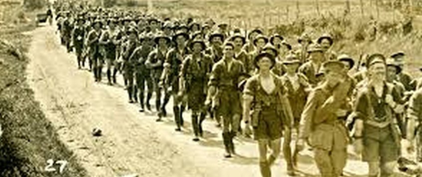 ONLINE: 'New Zealand Expeditionary Force - Gallipoli to the Somme 1914-16' by Chris Pugsley