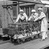 Munitions Factories in the Great War by Nigel Crompton