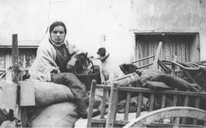 Pathetic scene. A refugee with her dog [74547666]  Photographed by John Warwick Brooke. National Library of Scotland License: CC BY 4.0