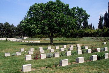 The Centenary of the lone English oak at Gallipoli