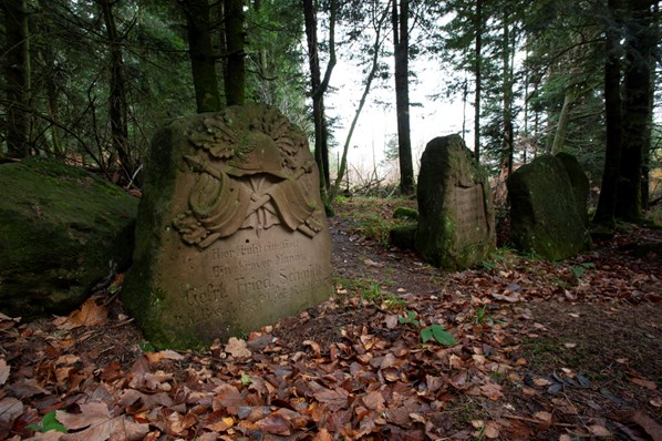 14 2014 09234 Vosges St Die