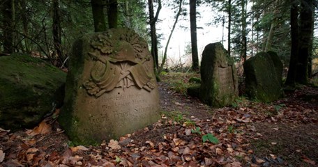 14 2014 09234 Vosges St Die