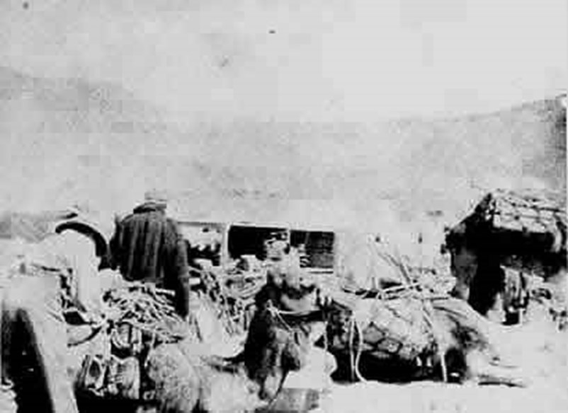 British Troops Loading Up Camel Transport At Sollum During The Operations Against The Senussi, April 1916