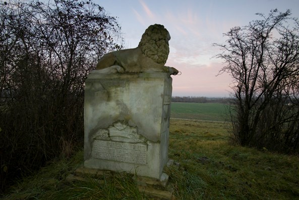 9 2014 04218 Champagne