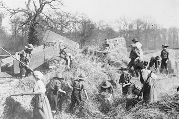 Somerset in the Great War - Sam Astil