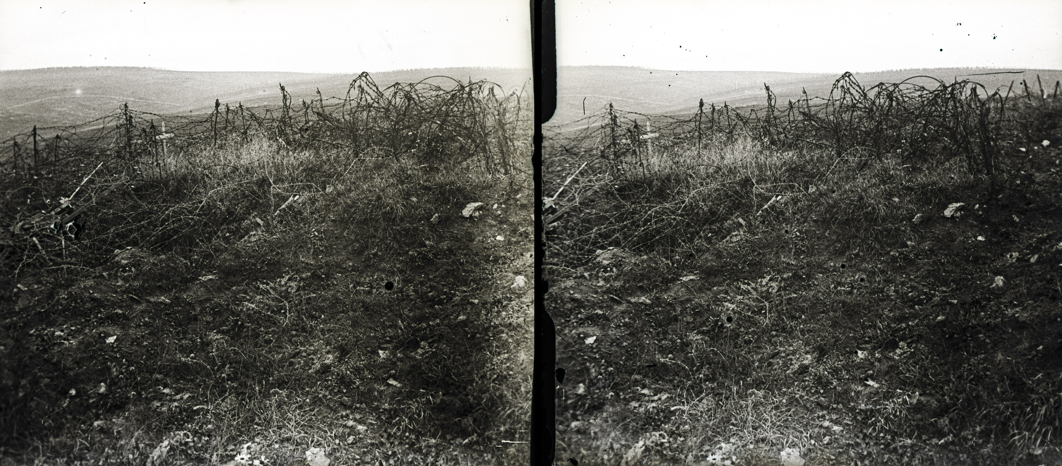 Côte 344, rideaux devant tranchée - Côte 344, curtains (of barbed wire) in front of a trench