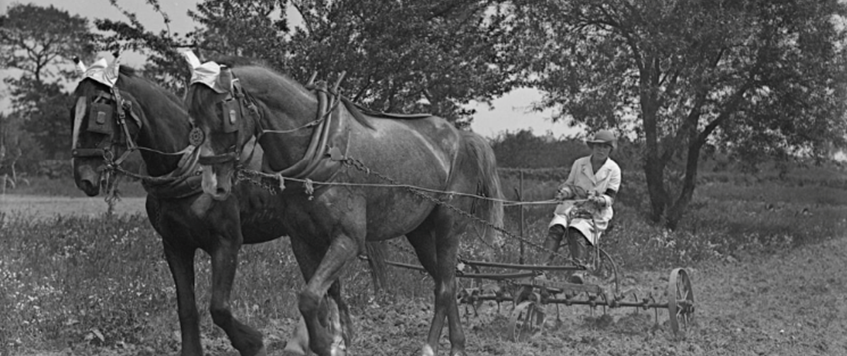 A talk by Dr. Vivien Newman 'With bill-hook and stick they cleared out the ditches. Women on the land in the First World War'