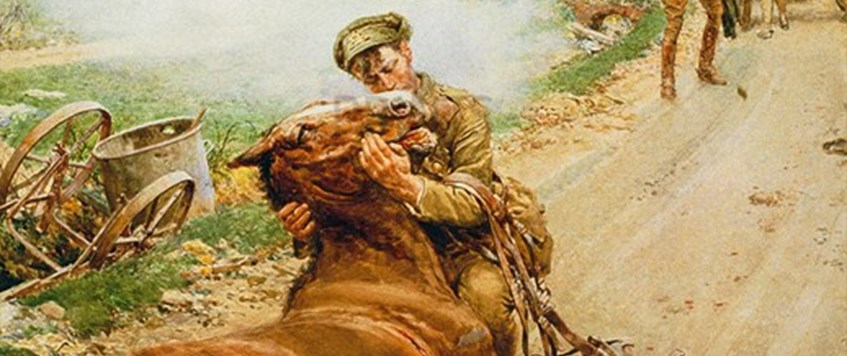 'Soldiers & Their Horses - Horses & Their Soldiers’ - Dr. Jane Flynn