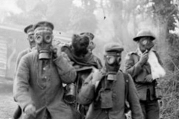 After the Armistice: Prosthetics and and Poverty