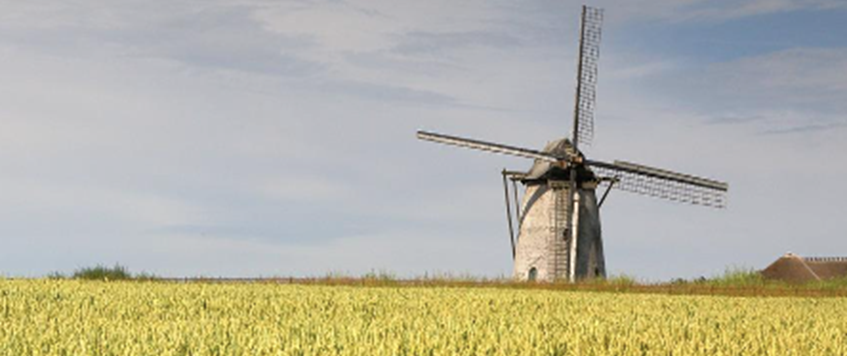 'That wide blue vault of sky...nowhere wider than in the Flemish plain' with Prof. Mark Connelly and Dr. Helen Brooks (UniKent):