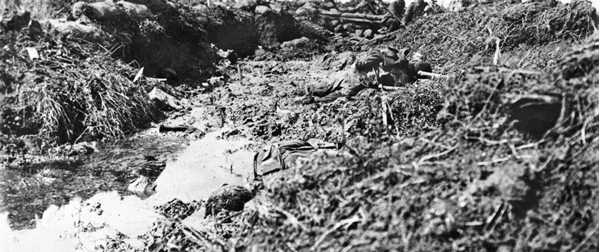 'The Attack at Fromelles 19th/20th July 1916' by Paul Cobb
