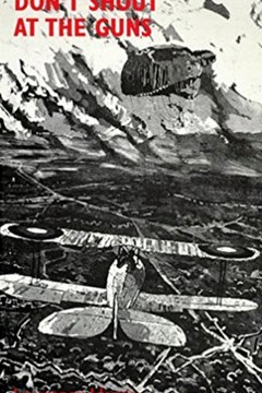 Don't Shout at the Guns