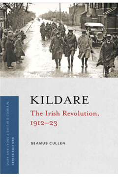 Ep. 195 - County Kildare - 1912-1923 - Dr Seamus Cullen