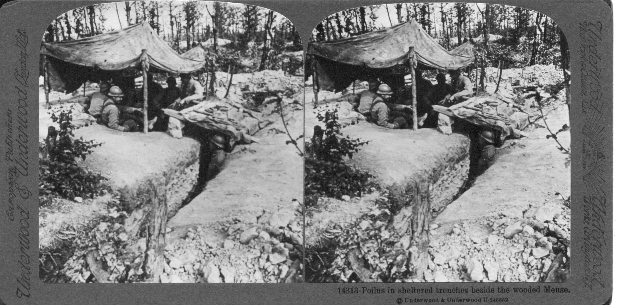 Poilus in sheltered trenches beside the wooded Meuse
