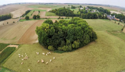 Hawthorn Crater. Image courtesy of the Hawthorn Ridge Association