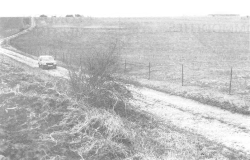 Looking north west of the track south of the junction for Carnoy on the Fricourt Mericourt road D938