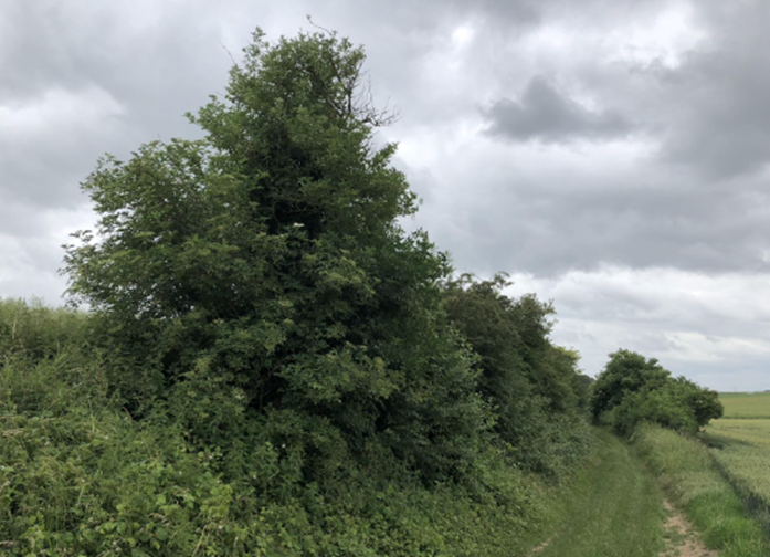 The location of Kiboko Wood Cemetery where men of The 1/6th Battalion, The Royal Warwickshire Regiment were buried after a German raid which took place on Sunday 4th February 1917.