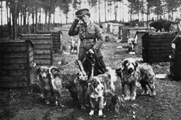 'Faithful and True: Lt-Col Edwin Richardson and the British War Dog School' Luci Gosling.