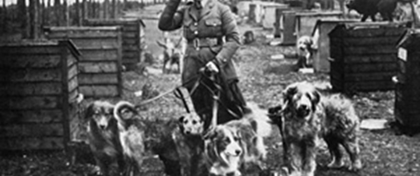 'Faithful and True: Lt-Col Edwin Richardson and the British War Dog School' Luci Gosling.