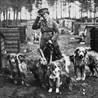 'Faithful and True: Lt-Col Edwin Richardson and the British War Dog School' Luci Gosling.