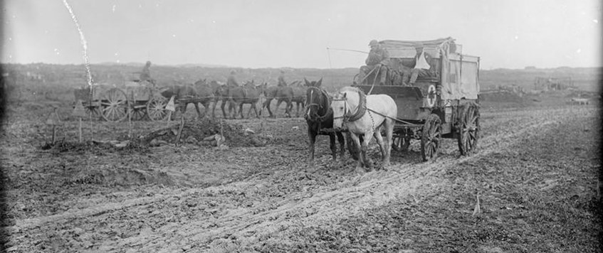 Mud, Blood and Bandages: The RAMC on the Western Front by Andy Robertshaw
