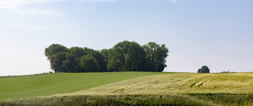 Hawthorn Ridge—Then and Now.