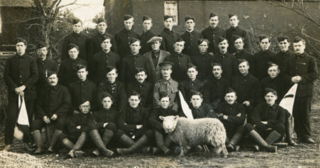 Peter The Lamb With A Contingent Of The 11Th Battalion (Oldfrontline.Co.Uk)
