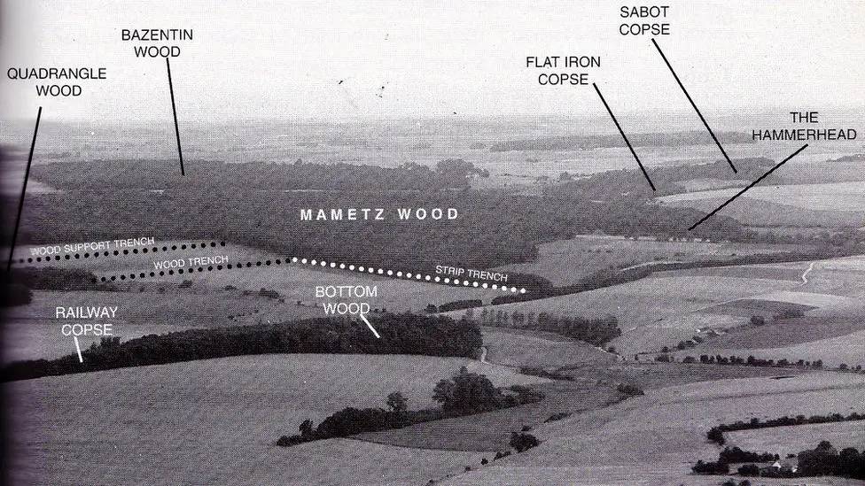 90306033 Mametz Graphic Useedit