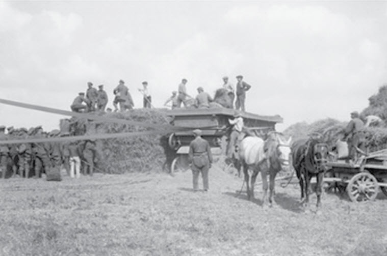 Troops Helping Haymaking Near Winnezeele September 1917 IWM Q2840