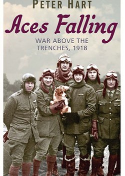 Aces Falling, War Above The Trenches, 1918