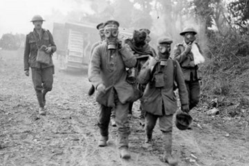The Final One Hundred Days of the Western Front