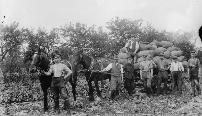 Snipped German Prisoners Of War In Uk