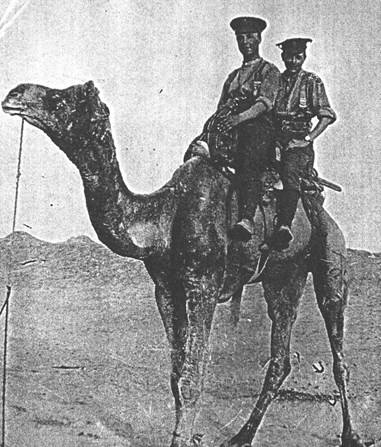 Roddy & Scott – 2 March 1916