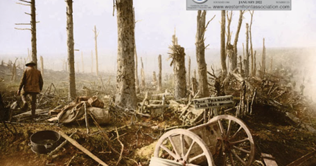 Cover Artillery Stripped Trees The Other Worldliness Of This Ravaged Landscape At Courcelette, Shrou
