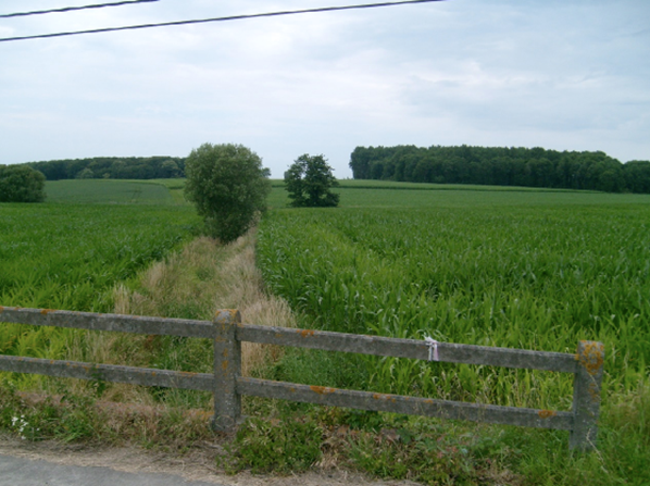 Looking North Over The Concrete Fence – In The Distance Is Railway Wood